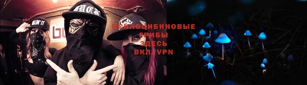 прущие крисы Пролетарск