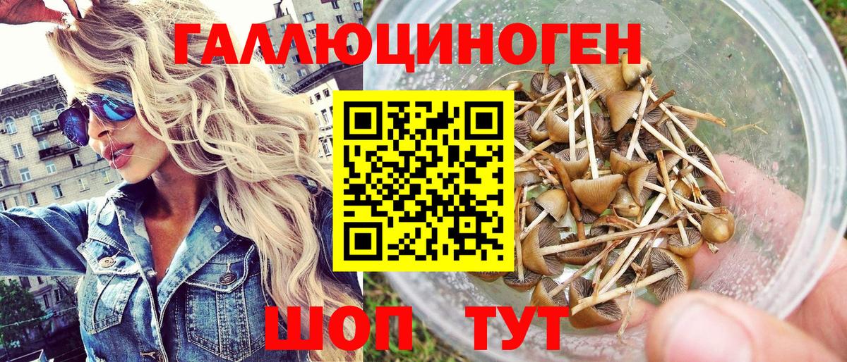 Галлюциногенные грибы мицелий Алексеевка